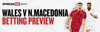 landing-page-walesnmacedoniapreview2025