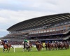 Spreadex top 10 sports spread bets of 2018 Royal Ascot