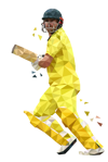 cricket-2-yellow